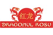 clienti-ritlmcontruct-dragonul-rosu